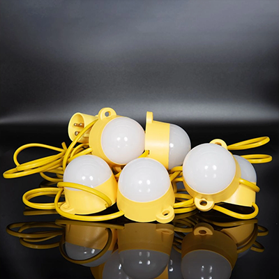 110V Festoon Kits