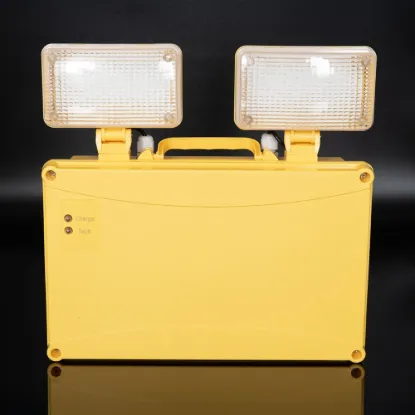 KSR Lighting Sitio 4W 6500K 110V LED IP65 Emergency Twin Spot