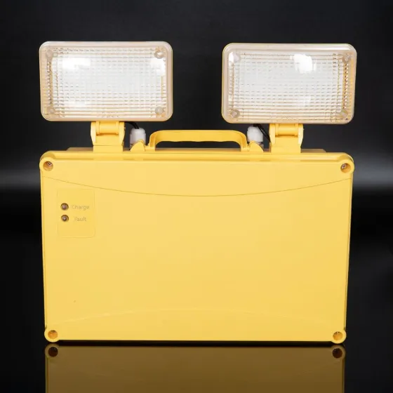 Sitio 4W 6500K 110V LED IP65 Emergency Twin Spot